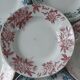 Set of 6 hollow plates Terre de Fer XIXth Saint Amand "Campanule" "Anémone"