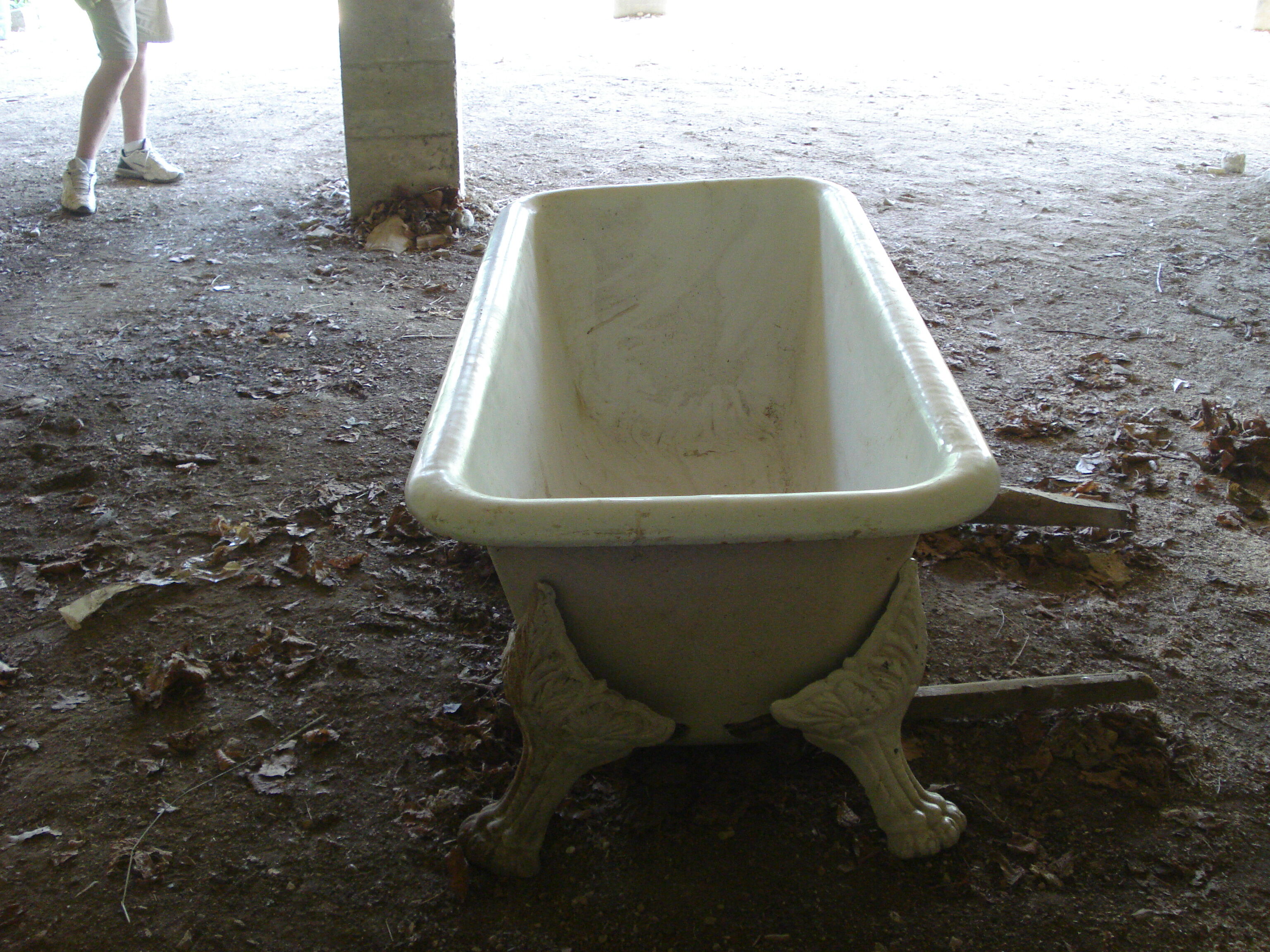 Cast iron lion's feet bathtub