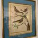 Lot de 7 gravures oiseaux