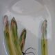 Small asparagus dish