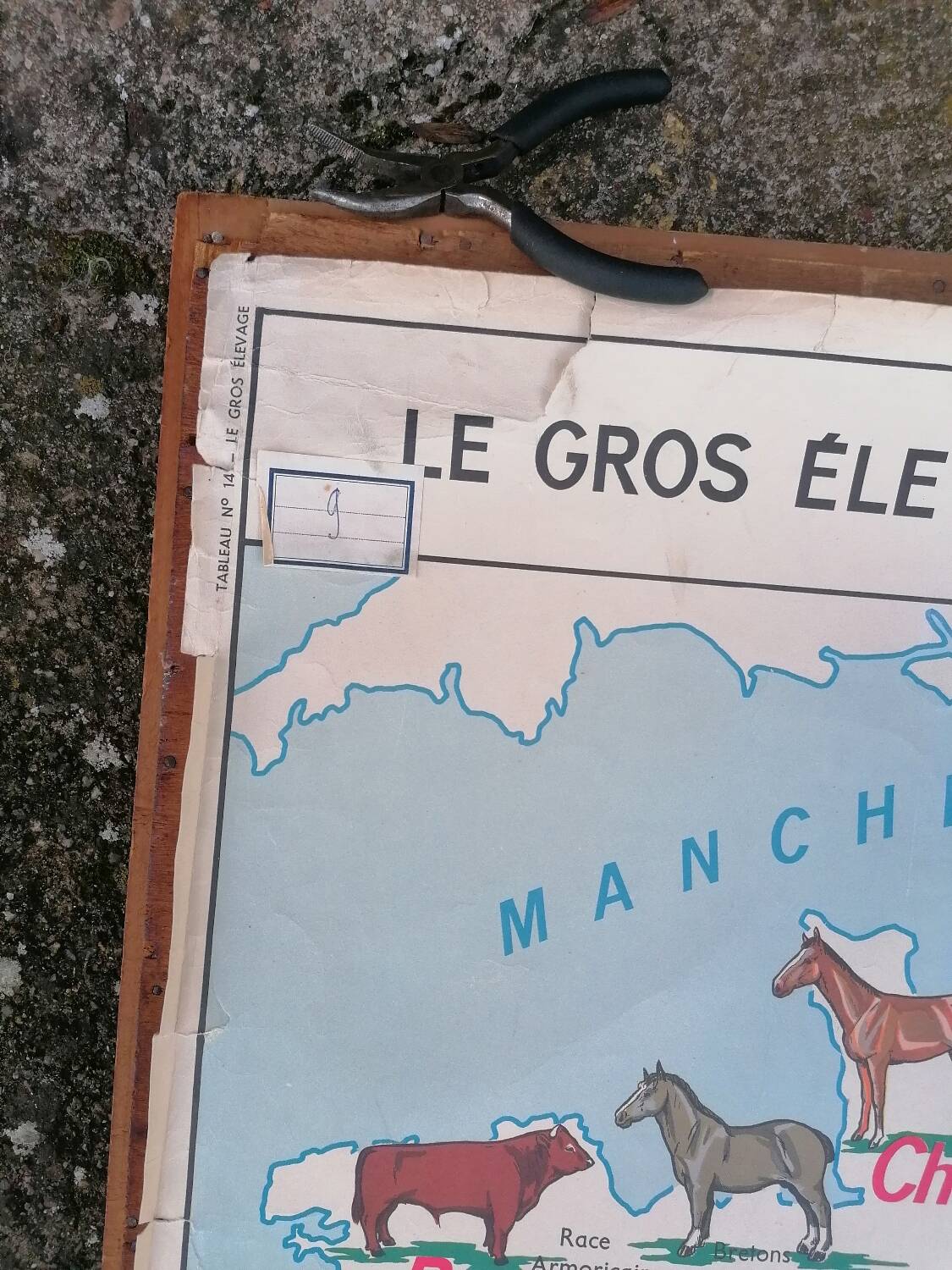 Ancienne affiche scolaire MDI France, le gros élevage et le Rhône.