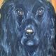 Vintage original dog portrait oil paintings set