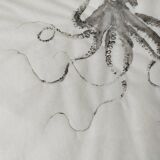 Original print of an octopus