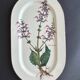 Villeroy and Boch botanica dish
