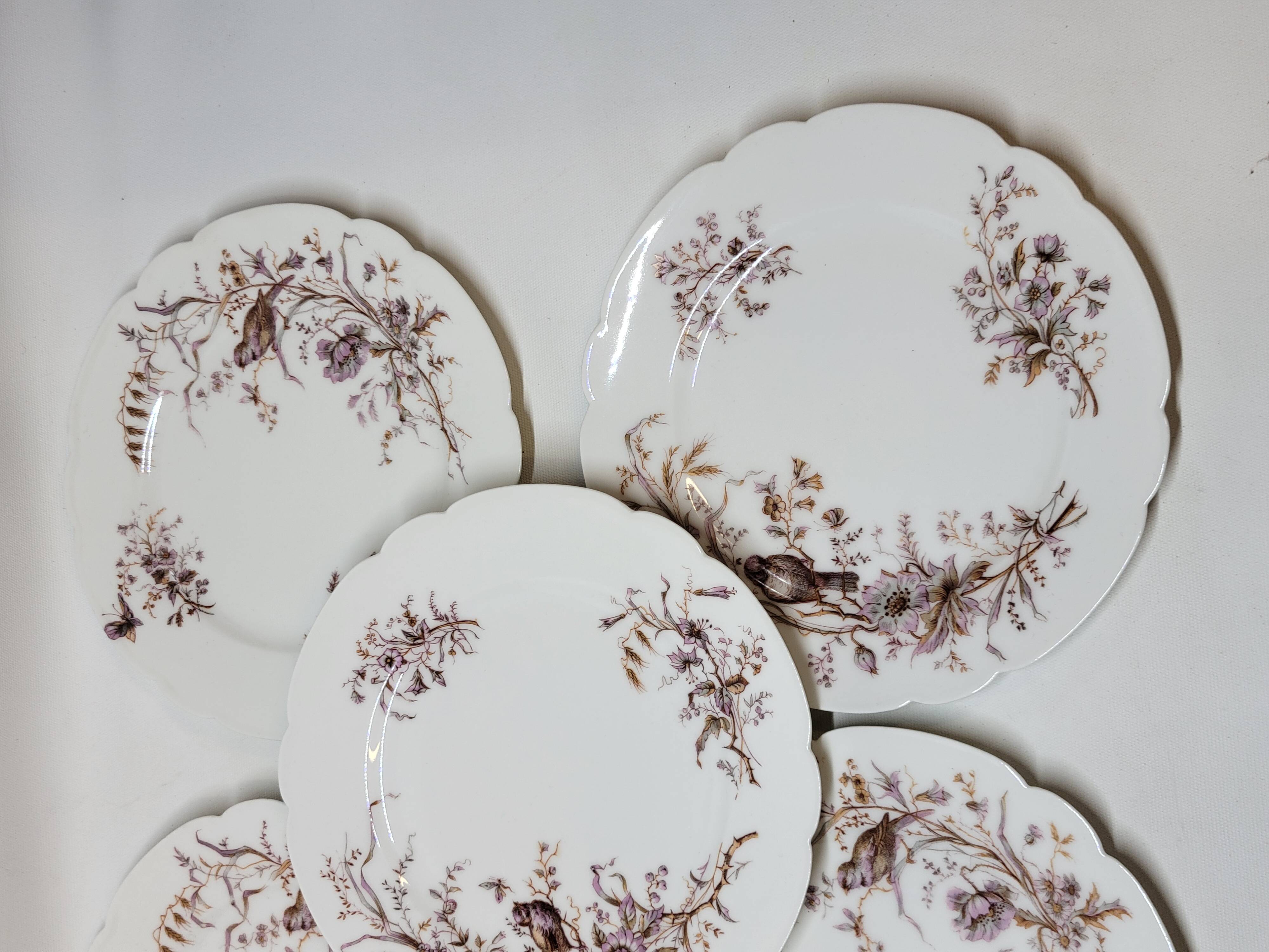 8 Superb Antique 19th Century Plates Decorated with Birds on Branches