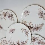 8 Superb Antique 19th Century Plates Decorated with Birds on Branches