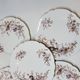 8 Superb Antique 19th Century Plates Decorated with Birds on Branches