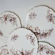 8 Superbes Assiettes Anciennes XIXème Décor Aux Oiseaux Sur Des Branches
