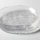 Set of 4 Vintage Kosta Boda Glass Oval Dinner Fish Plates / Sweden / 1970s