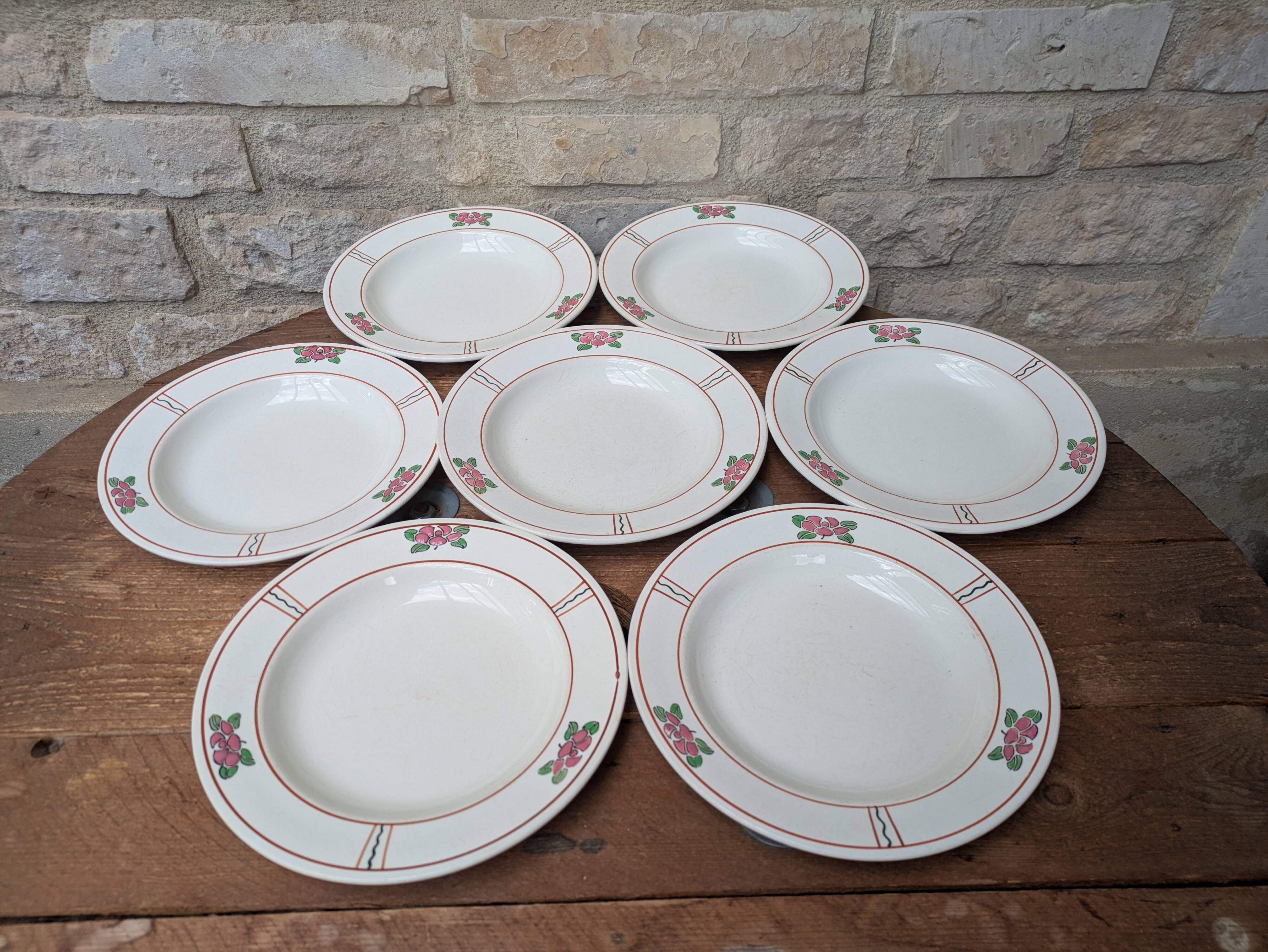 7 old deep plates in Salins earthenware model Nénuphar 24.5cm