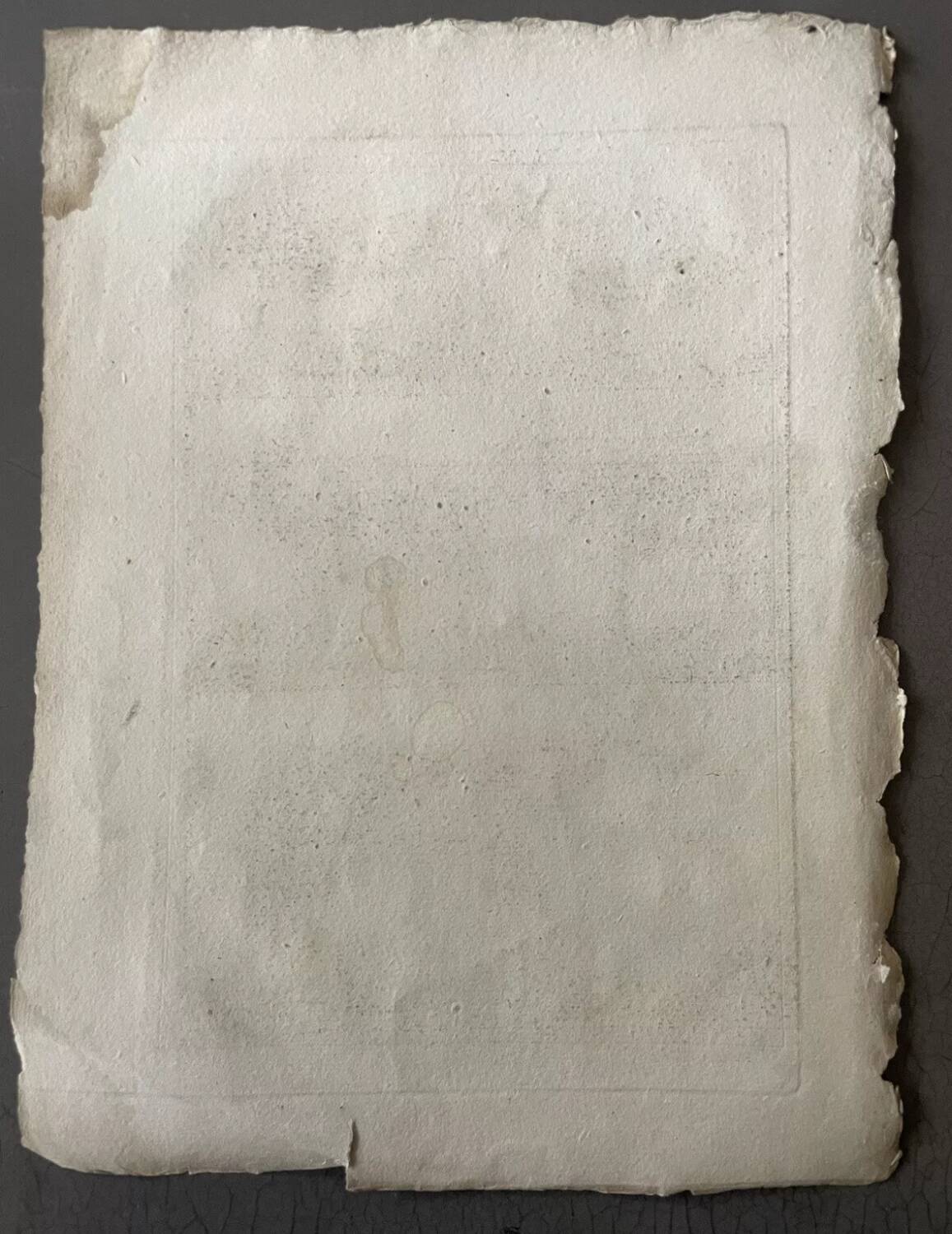 Engraving Old book 18th century Buffon, Bonnaterre, Natural history