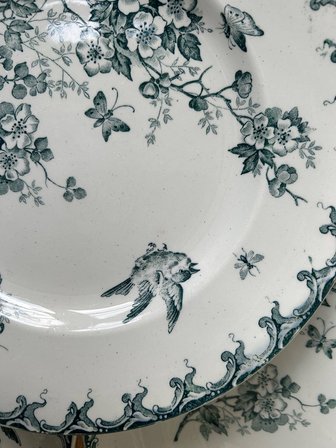 Series of 6 old flat plates “Terre de Fer”