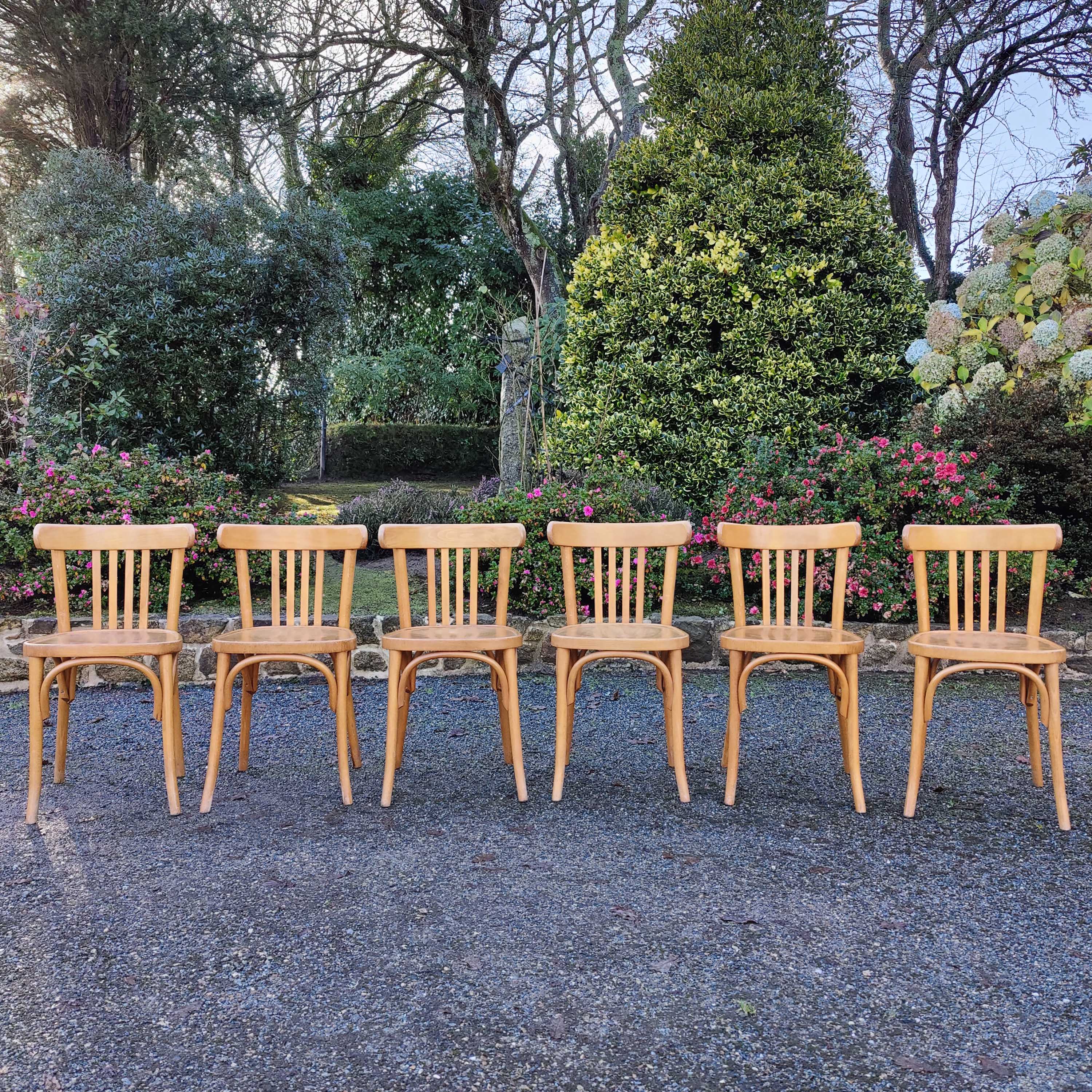 Lot 6 chairs bistro light wood