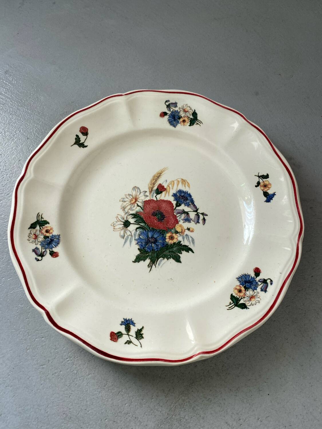 1 plate of sarguemines agreste