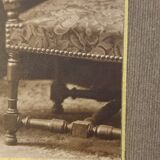Photo "elegant leaning on the armchair" of fontes paris