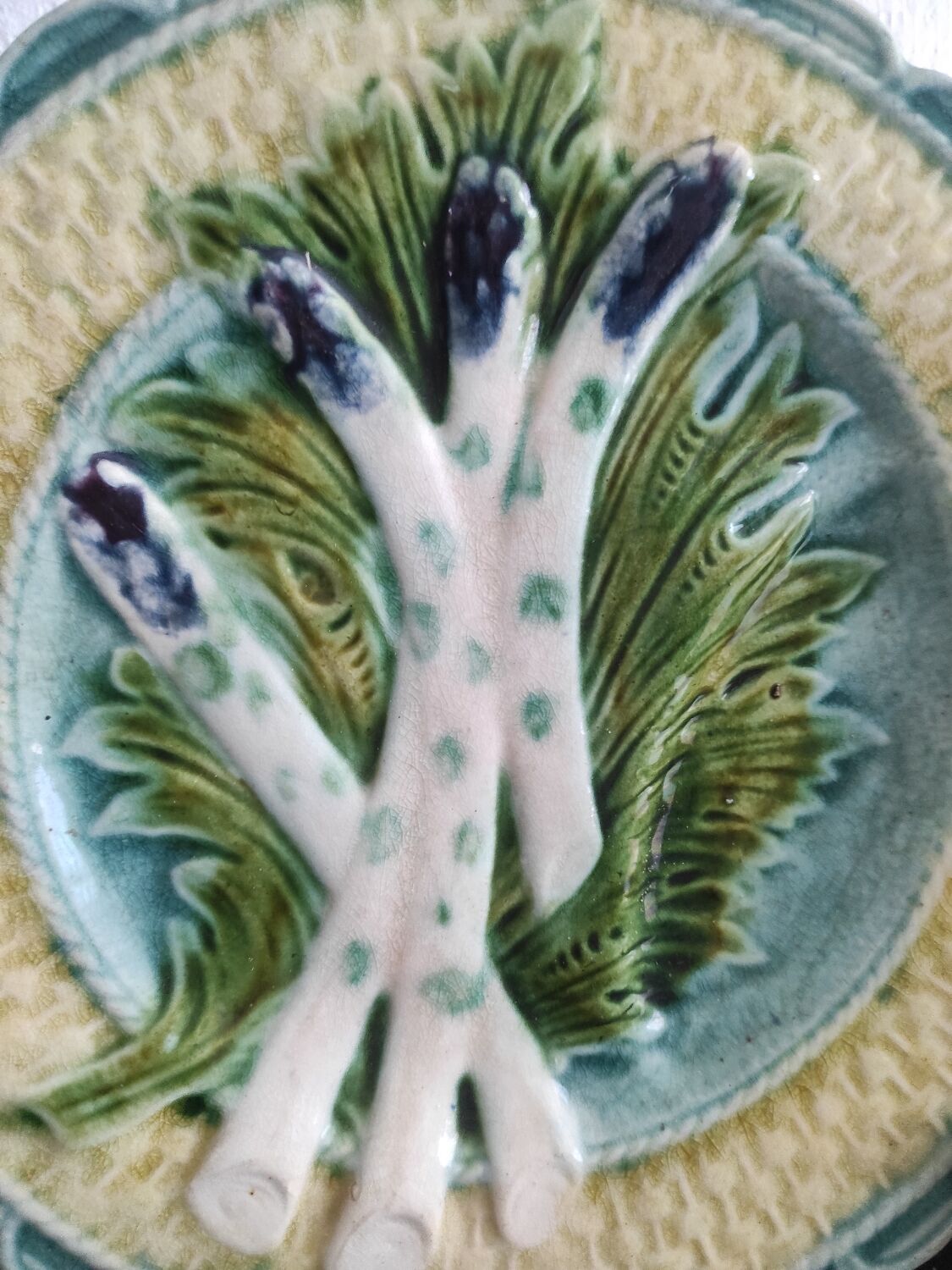 Asparagus plate - Faience Barbotine - XIX century - Salins