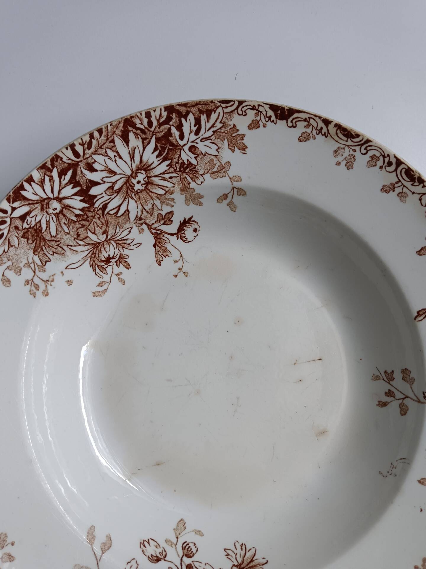 Large deep plate Terre de fer Gien Autumn