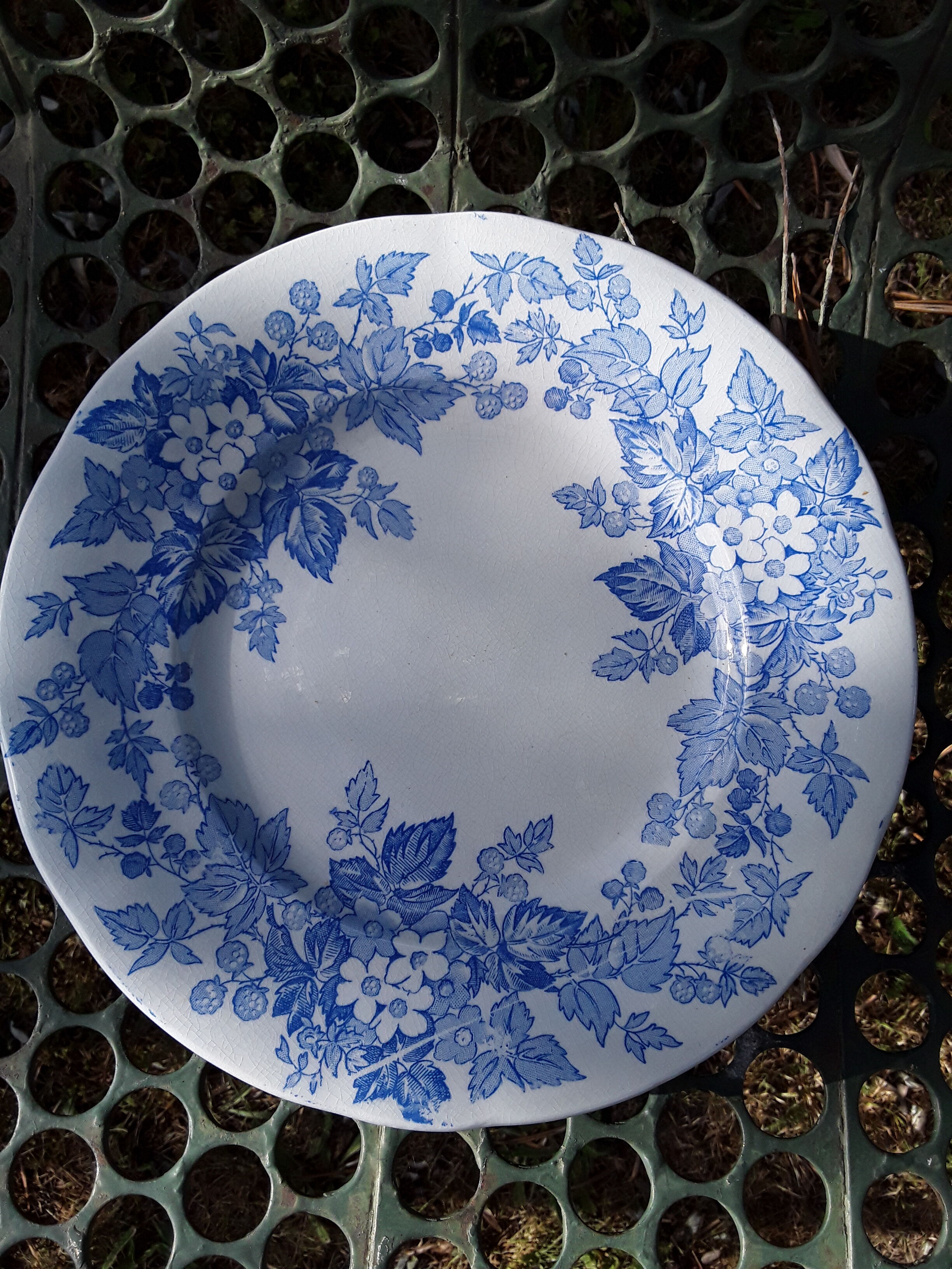 6 plates Sarreguemines Iron Land