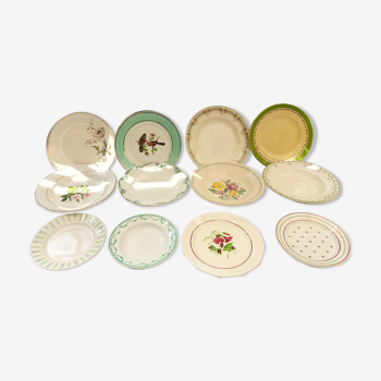 Assortiment de 12 assiettes  dominante verte