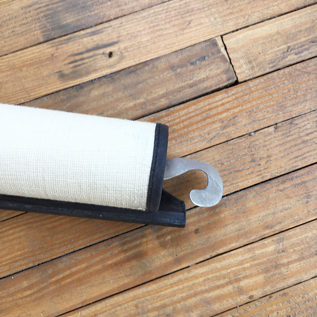 Displays the cuttlefish by Dr Auzoux