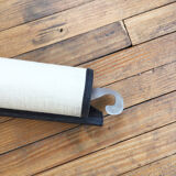 Displays the cuttlefish by Dr Auzoux