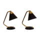 Pair of Scandinavian lamps or wall light 1960