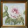 Tableau HST "Rose en fleur et bourgeons" avec cadre