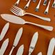 Christofle boréal fish service 26 pieces