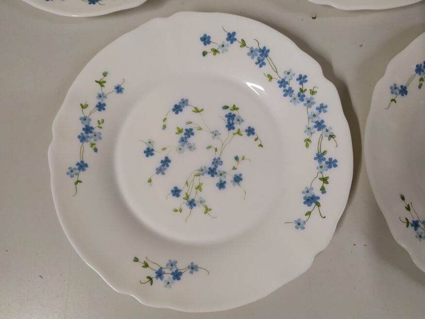 Set de 5 assiettes plate Arcopal Véronica Myosotis fleur bleu vintage |  Selency