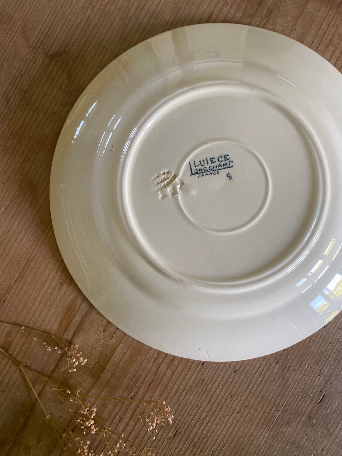 6 flat plates iron earth Lutetia Longchamp