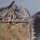 Pair of mirror sconces/candle holders in 19th-century bronze.