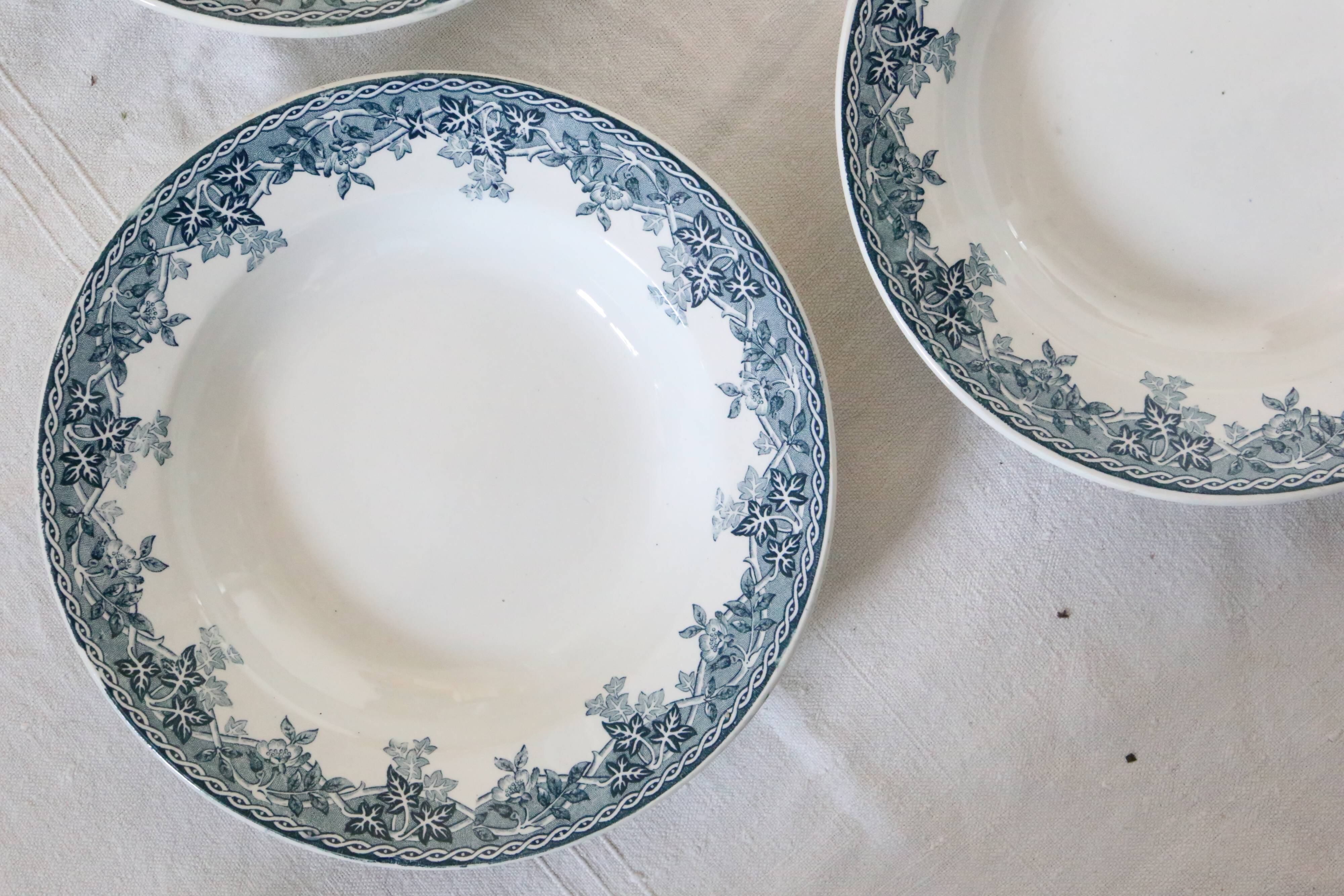 Deep plates x5, iron earth, Estival model from Saint Amand