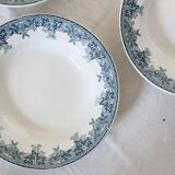 Deep plates x5, iron earth, Estival model from Saint Amand