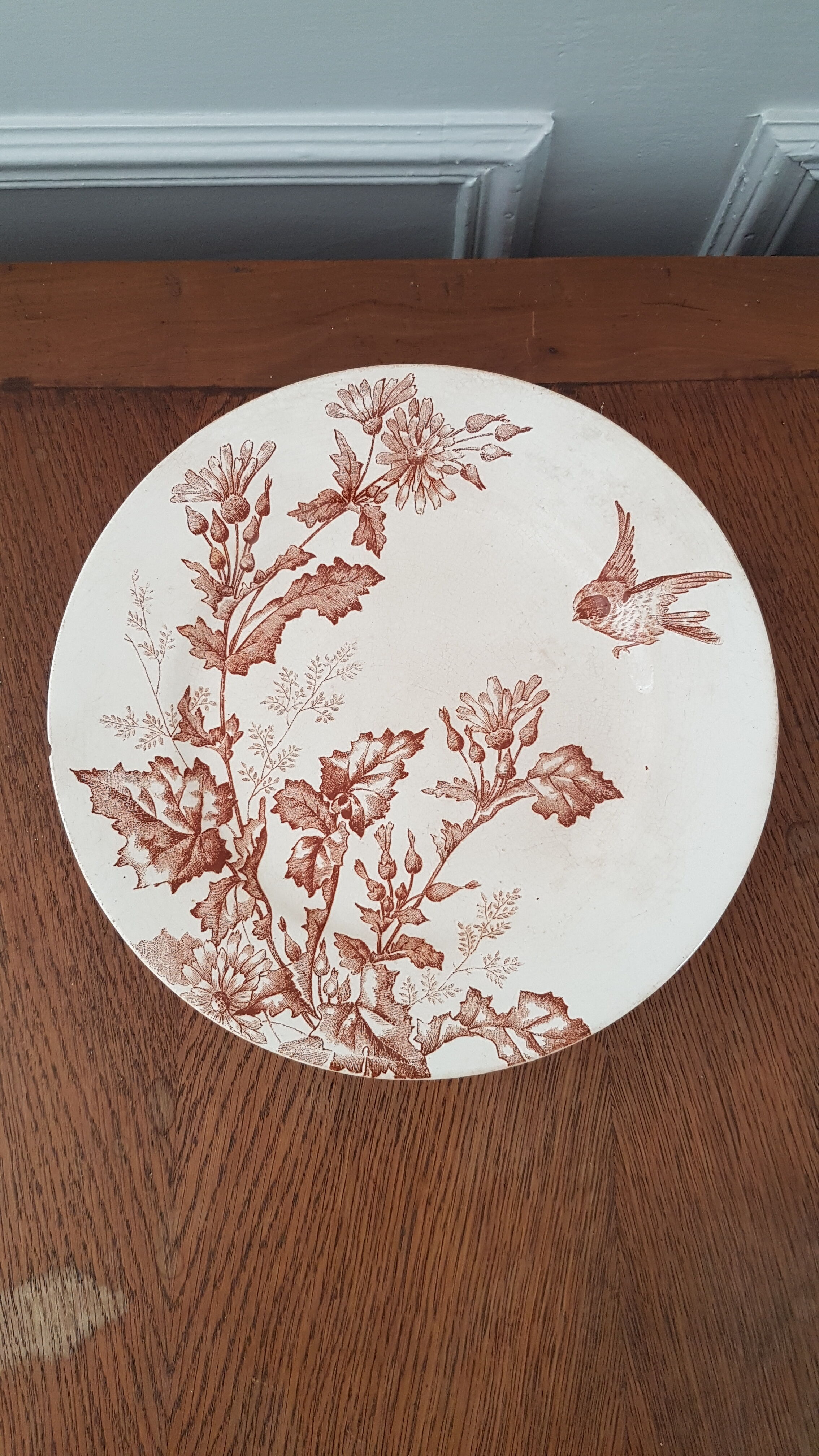 Compotier longwy Botanique