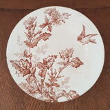 Compotier longwy Botanique