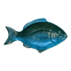 Ceramic serving flat plate in the shape of green fish