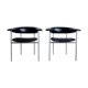Pair of chairs model gamma Rudolf Wolf 1960