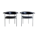Pair of chairs model gamma Rudolf Wolf 1960