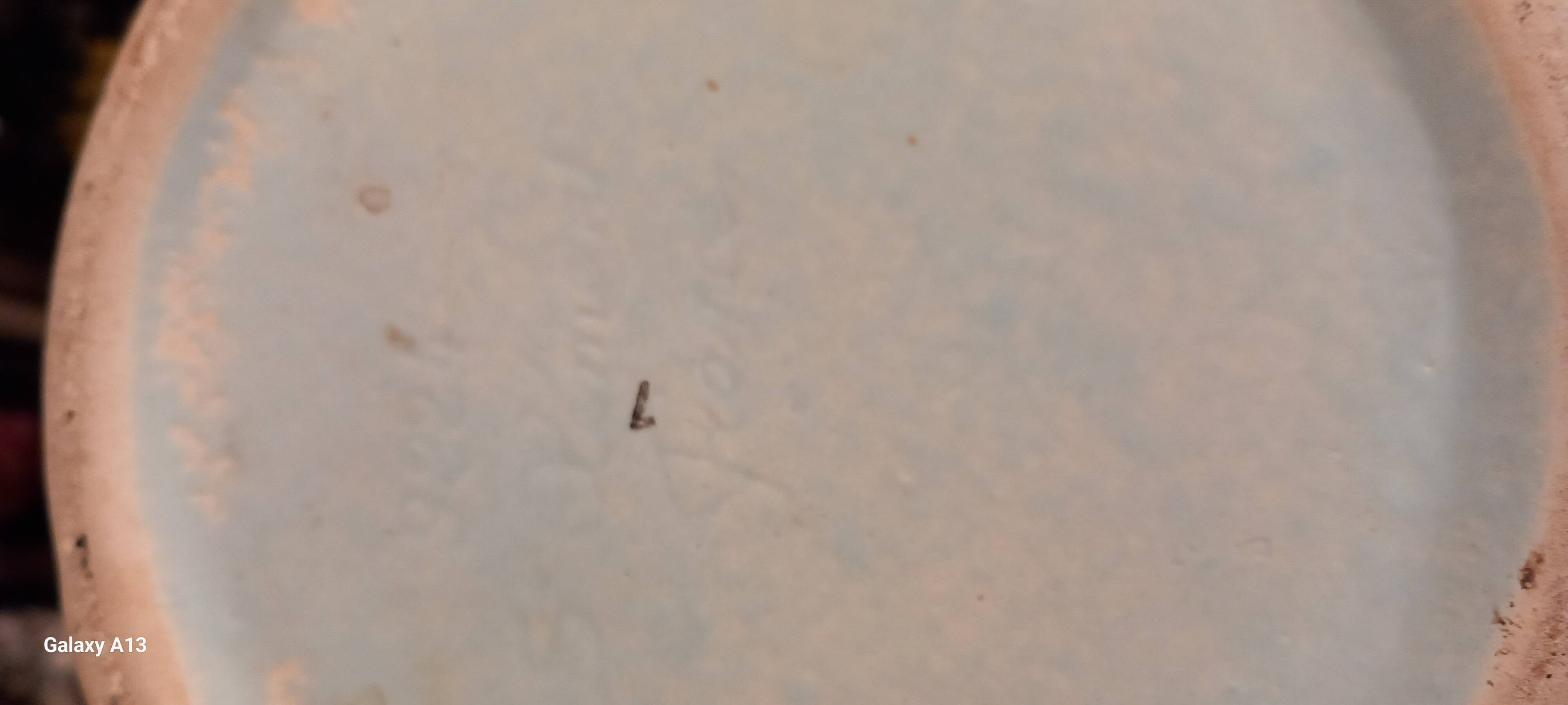 Large st clement flower vase