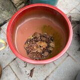 Glazed ceramic flower pots – perfect for terrace or garden.