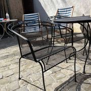 1950s garden set
