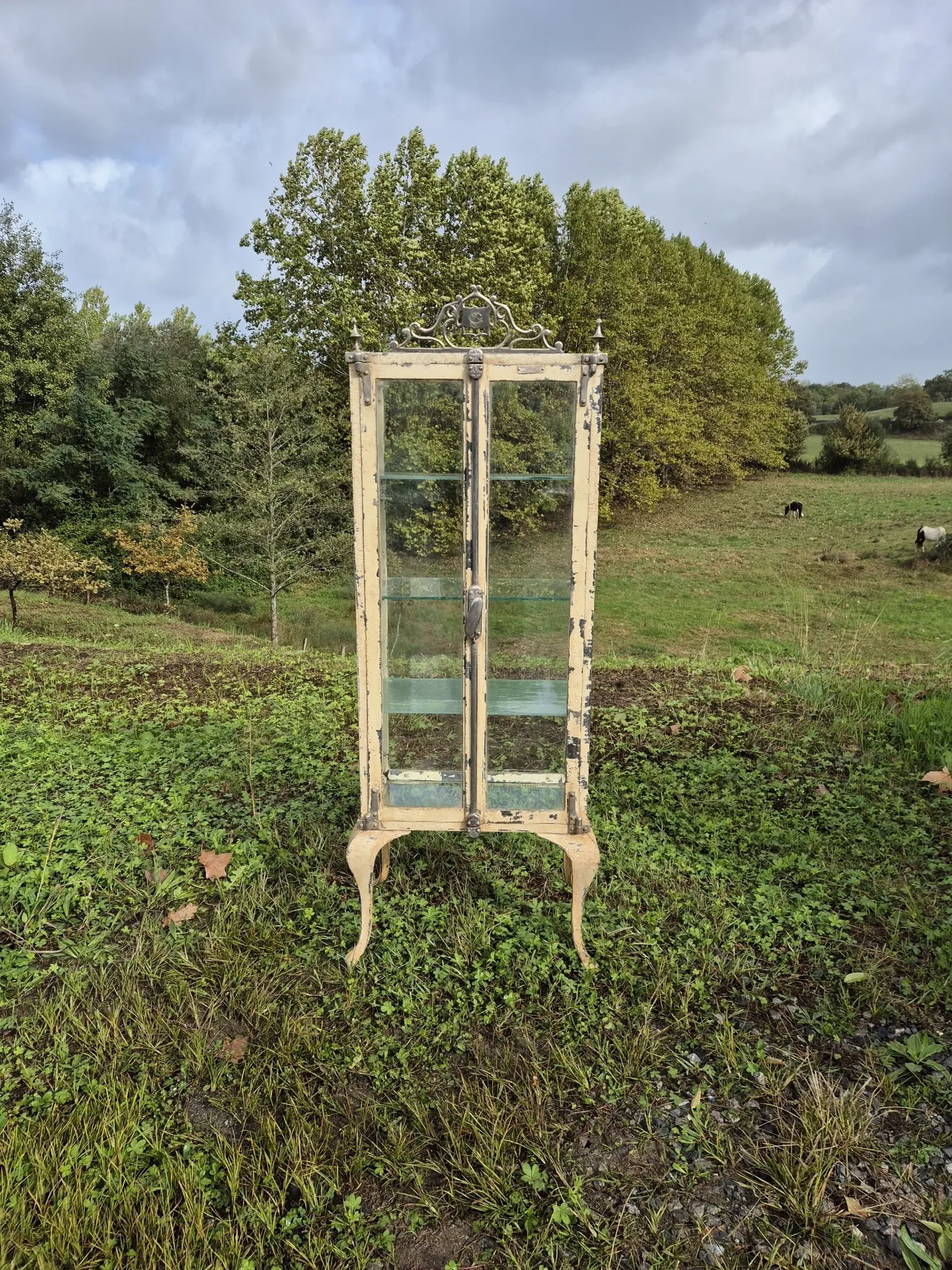 Ancienne vitrine de chirurgien