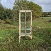 Ancienne vitrine de chirurgien