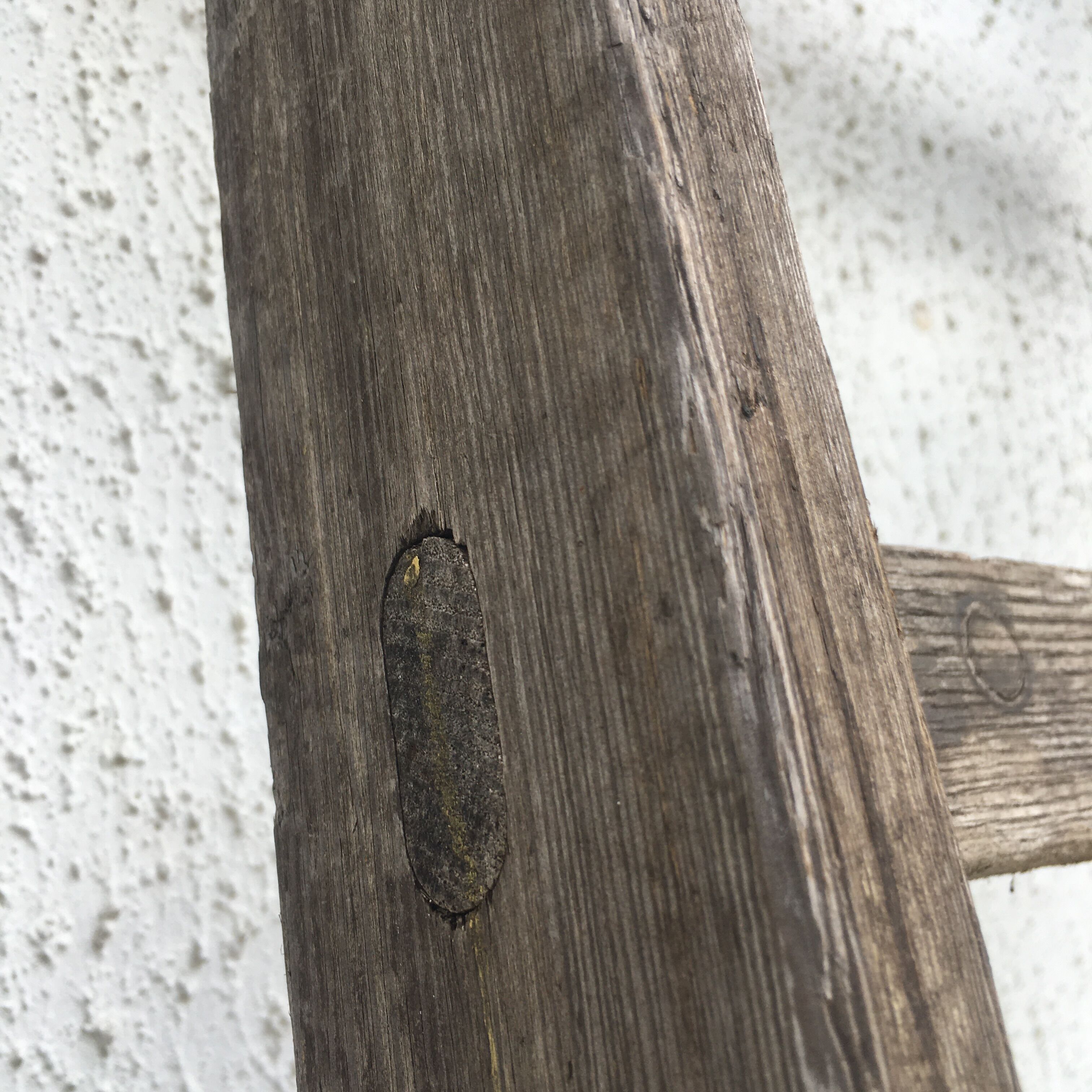 Wooden scale late 19th