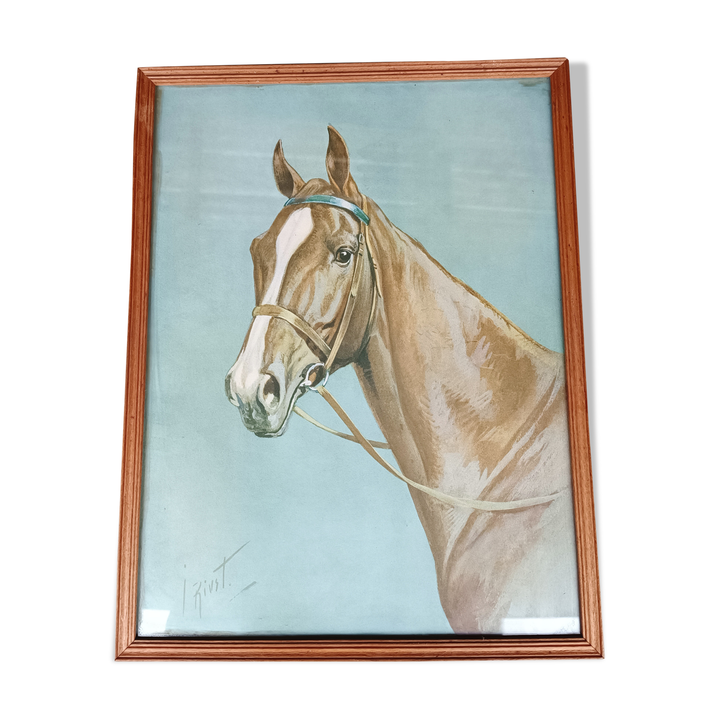 Lithographie cheval J.Rivet