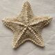 knotted starfish 21 cm
