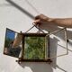 Gold square barber mirror with Japan Napoleon III print