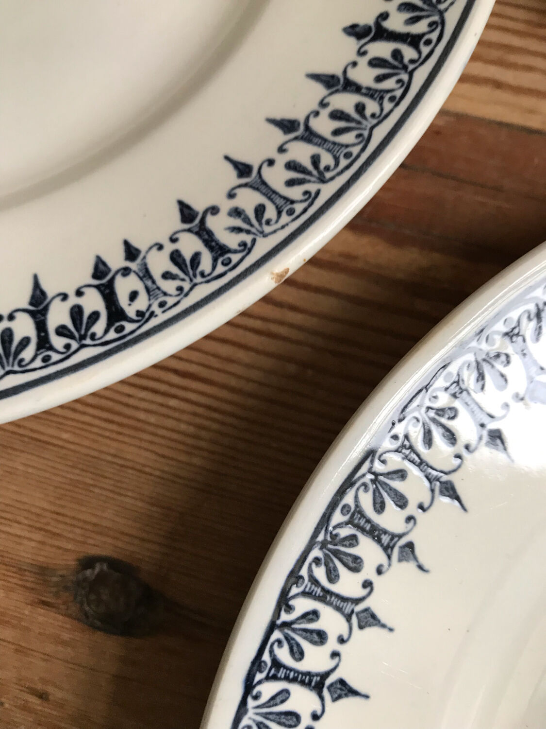 Series of 8 flat plates "PRIMAX"