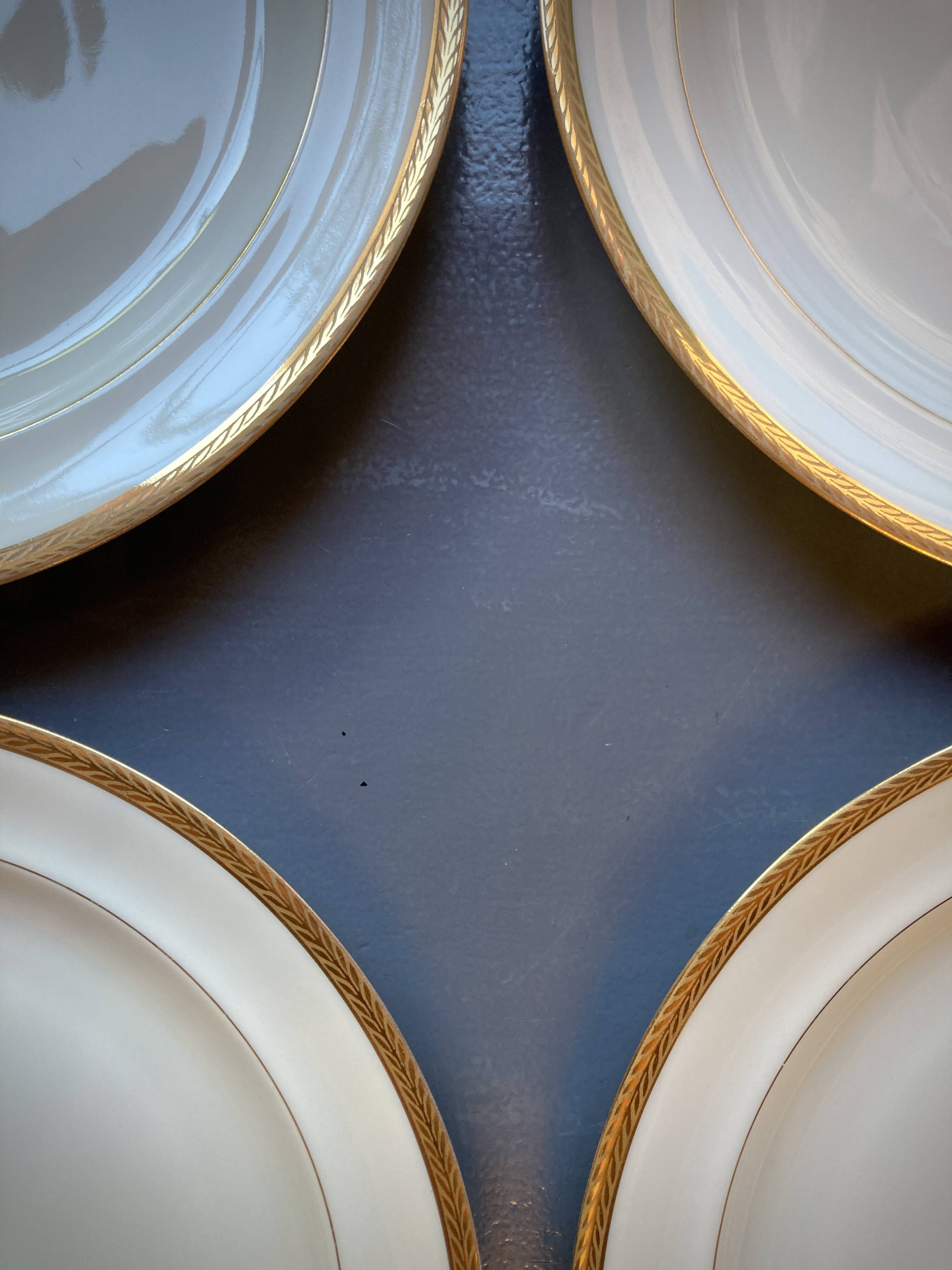 Limoges Porcelain Maison Ternet 12 pieces