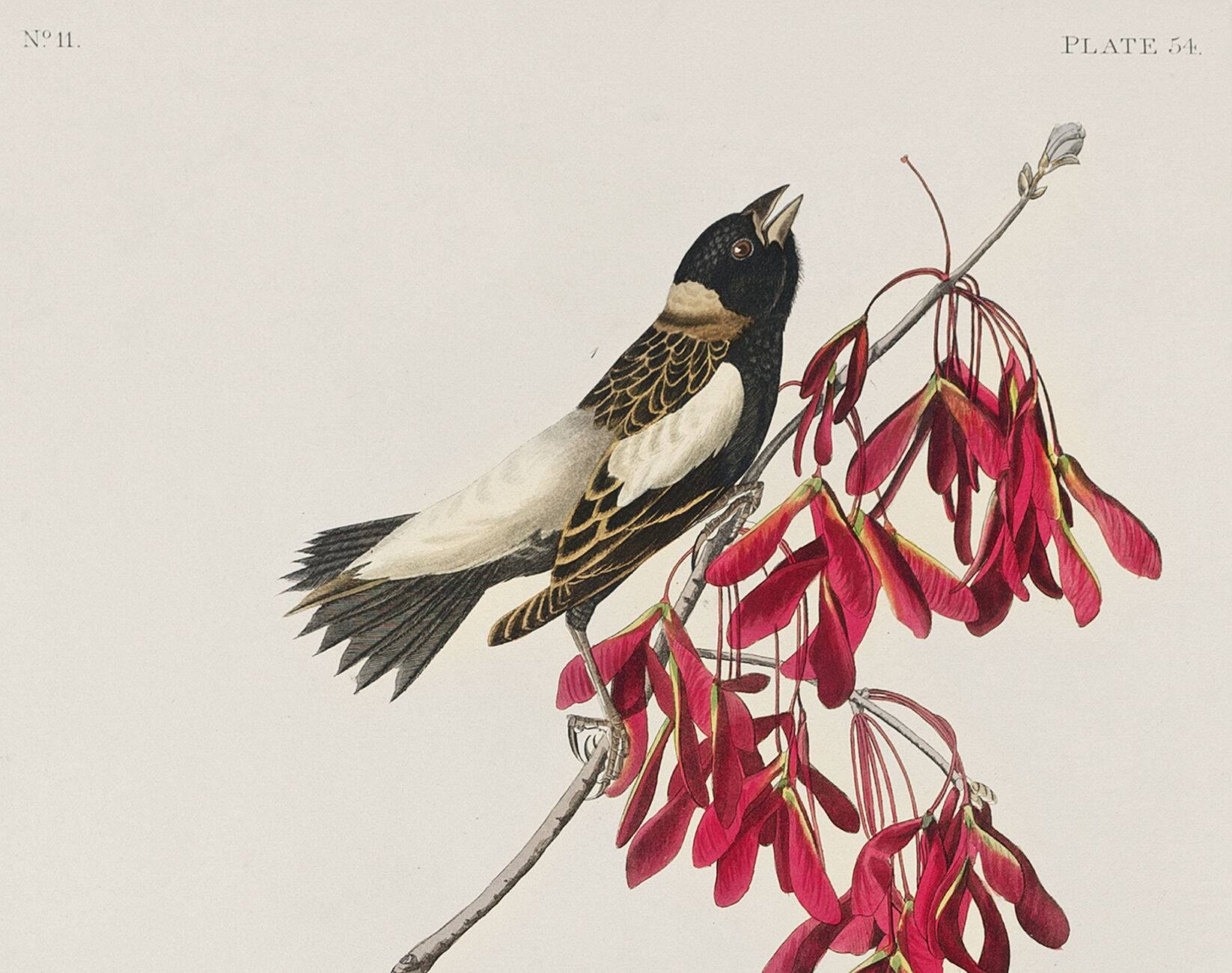 Poster about the Gobball, based on an old engraving from 1827.